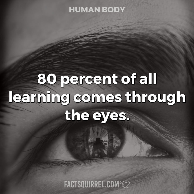 80 percent of all learning comes through the eyes