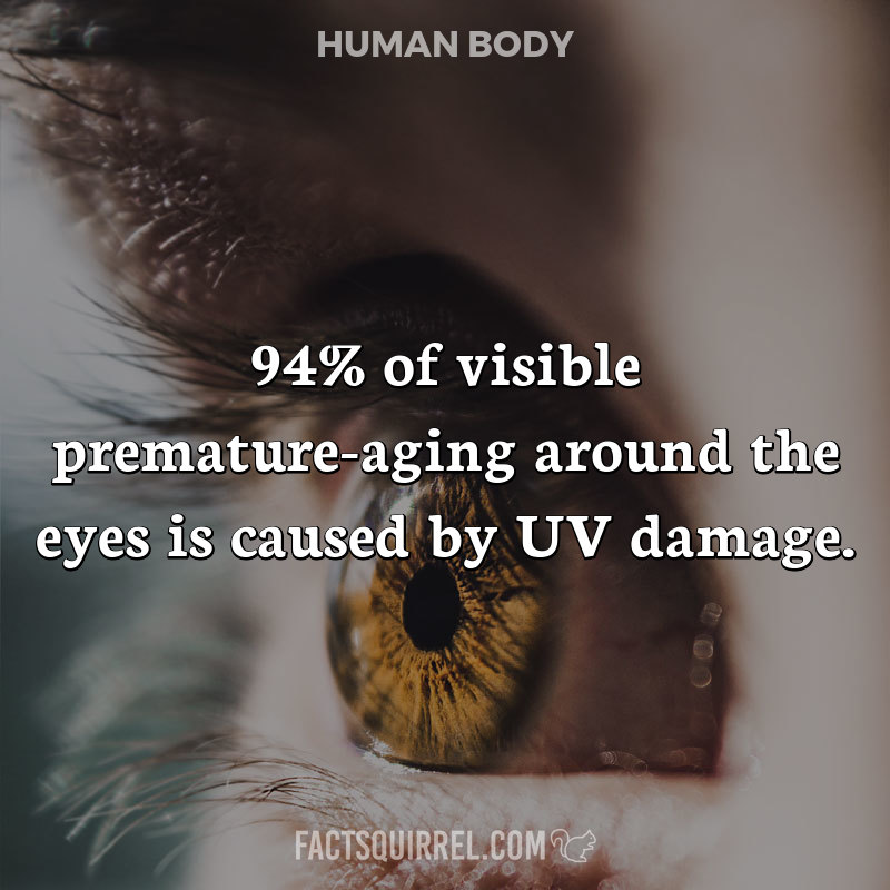 94% of visible premature-aging around the eyes is caused by UV damage