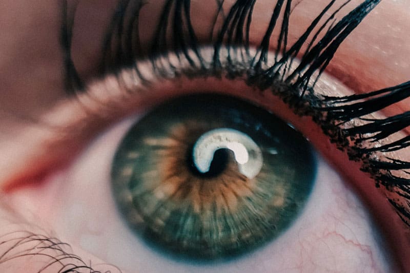 Eyes contain around 107 million light-sensitive cells