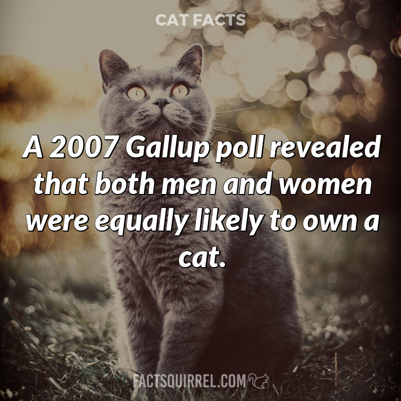 A 2007 Gallup poll revealed that both men and women were equally likely
