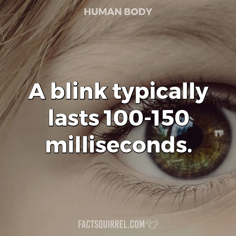 A blink typically lasts 100-150 milliseconds