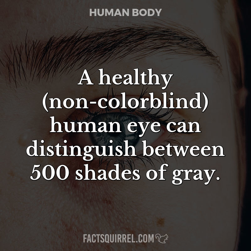 A healthy (non-colorblind) human eye can distinguish between 500 shades