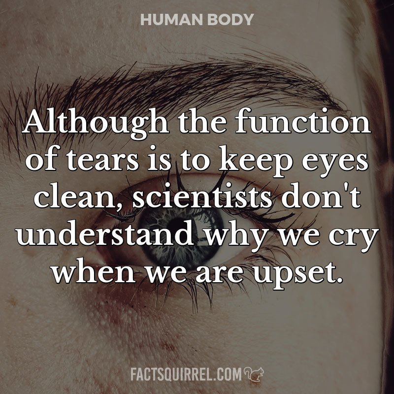 Although the function of tears is to keep eyes clean, scientists don’t