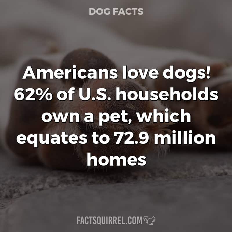 Americans love dogs! 62% of U.S. households own a pet, which equates to