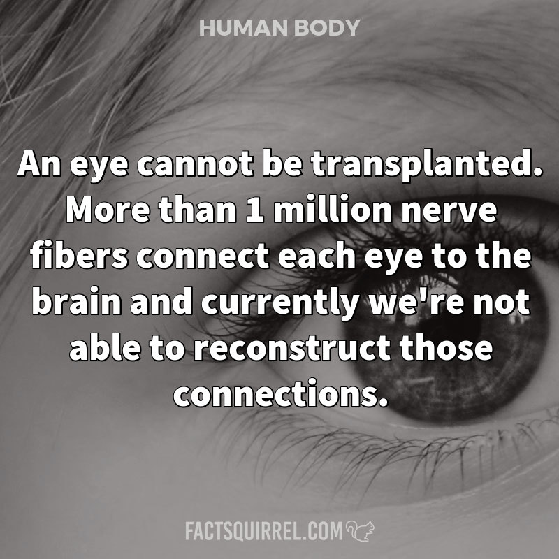 An eye cannot be transplanted. More than 1 million nerve fibers connect each eye to the brain and currently we're not able to reconstruct those connections.