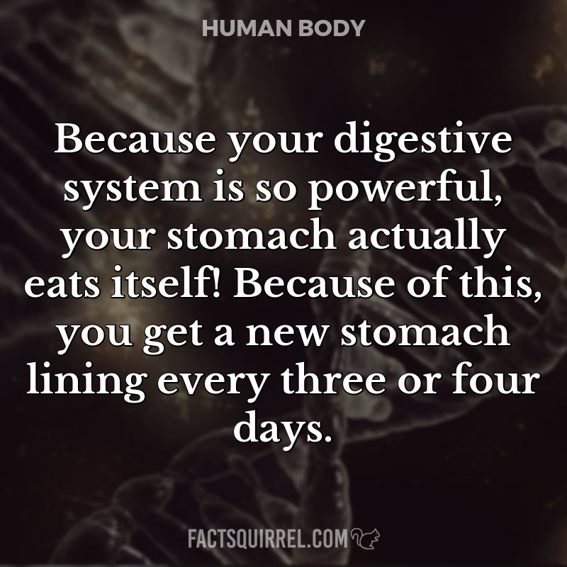 Because your digestive system is so powerful, your stomach actually eats