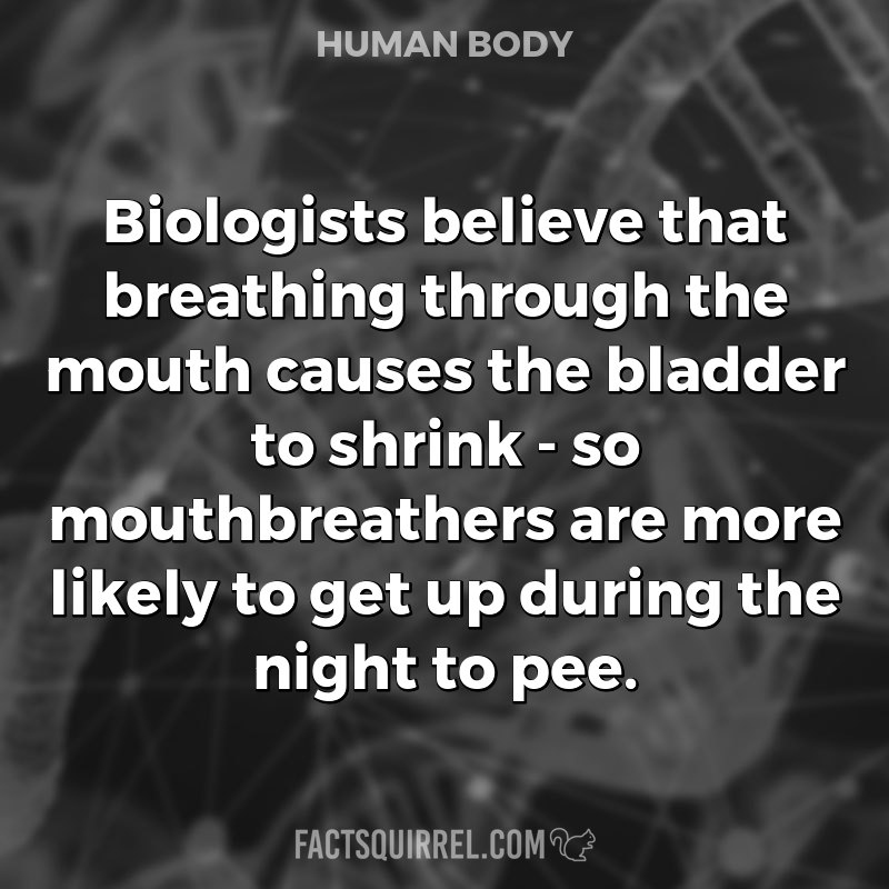 Biologists believe that breathing through the mouth causes the bladder