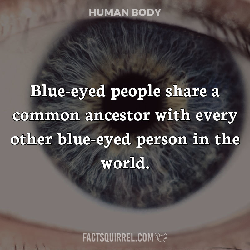 Blue-eyed people share a common ancestor with every other blue-eyed