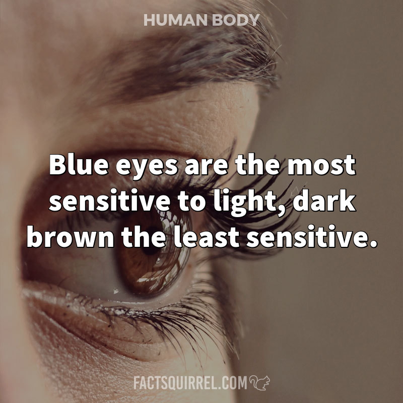Blue eyes are the most sensitive to light, dark brown the least