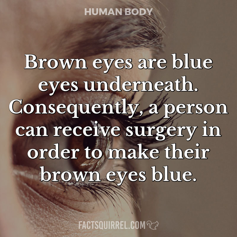 Brown eyes are blue eyes underneath. Consequently, a person can receive surgery in order to make their brown eyes blue.
