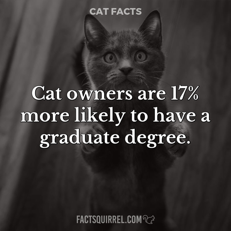 Cat owners are 17% more likely to have a graduate degree