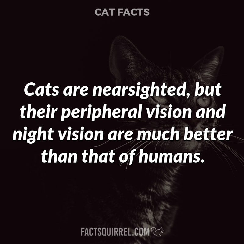 Cats are nearsighted, but their peripheral vision and night vision are