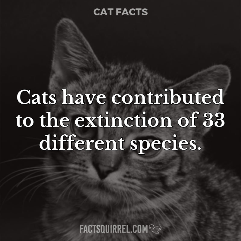 Cats have contributed to the extinction of 33 different species