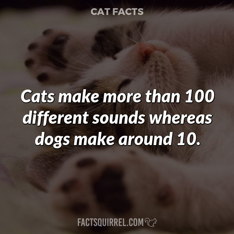 Cats make more than 100 different sounds whereas dogs make around 10