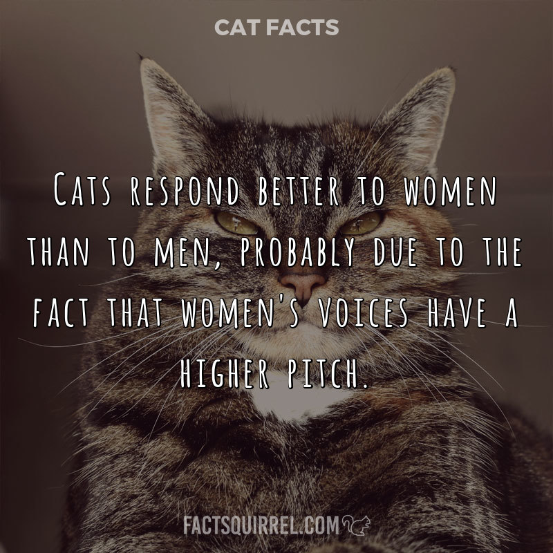 Cats respond better to women than to men, probably due to the fact that