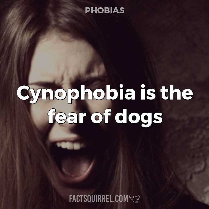 Cynophobia is the fear of dogs