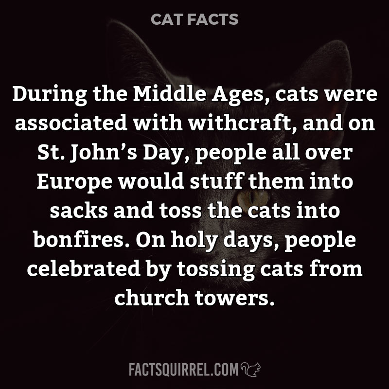 During the Middle Ages, cats were associated with withcraft, and on St.