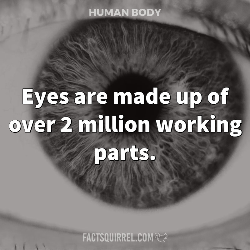 Eyes are made up of over 2 million working parts.