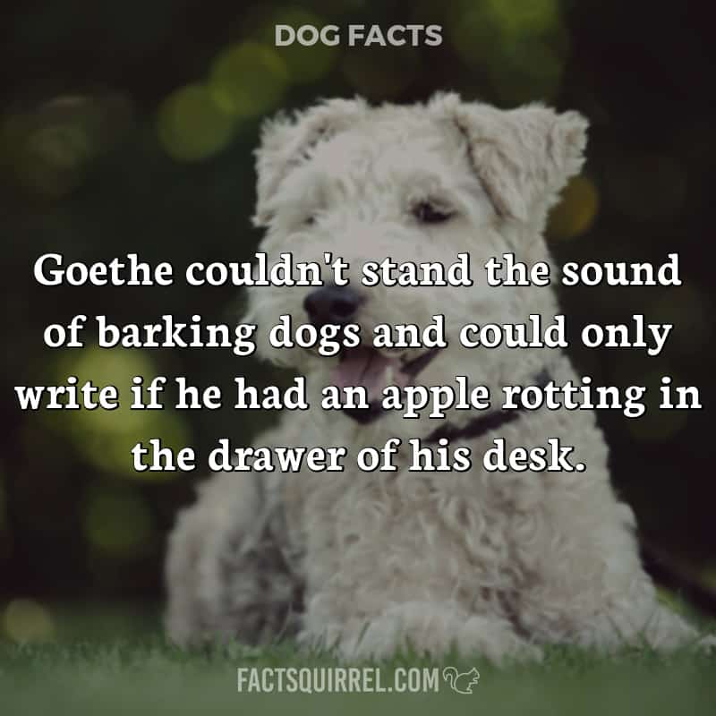 Goethe couldn’t stand the sound of barking dogs and could only write if