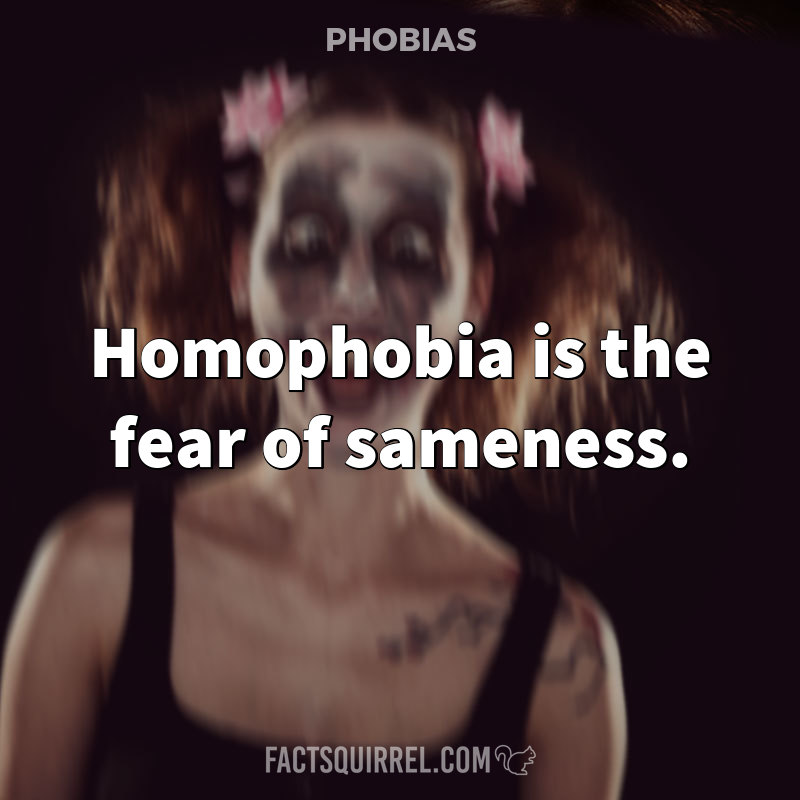 Homophobia is the fear of sameness