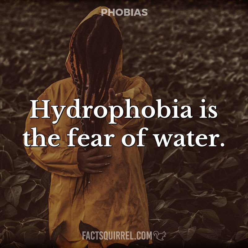 Hydrophobia is the fear of water