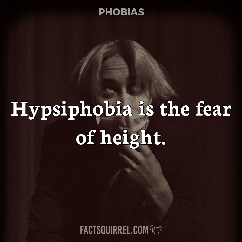 Hypsiphobia is the fear of height