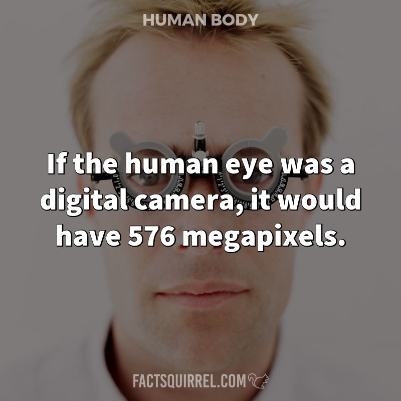 If the human eye was a digital camera, it would have 576 megapixels