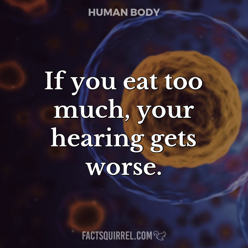 If you eat too much, your hearing gets worse
