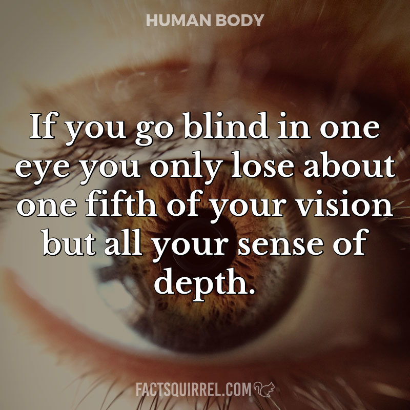 If you go blind in one eye you only lose about one fifth of your vision but all your sense of depth.