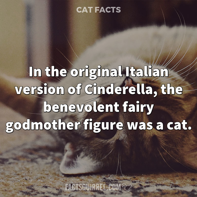 In the original Italian version of Cinderella, the benevolent fairy
