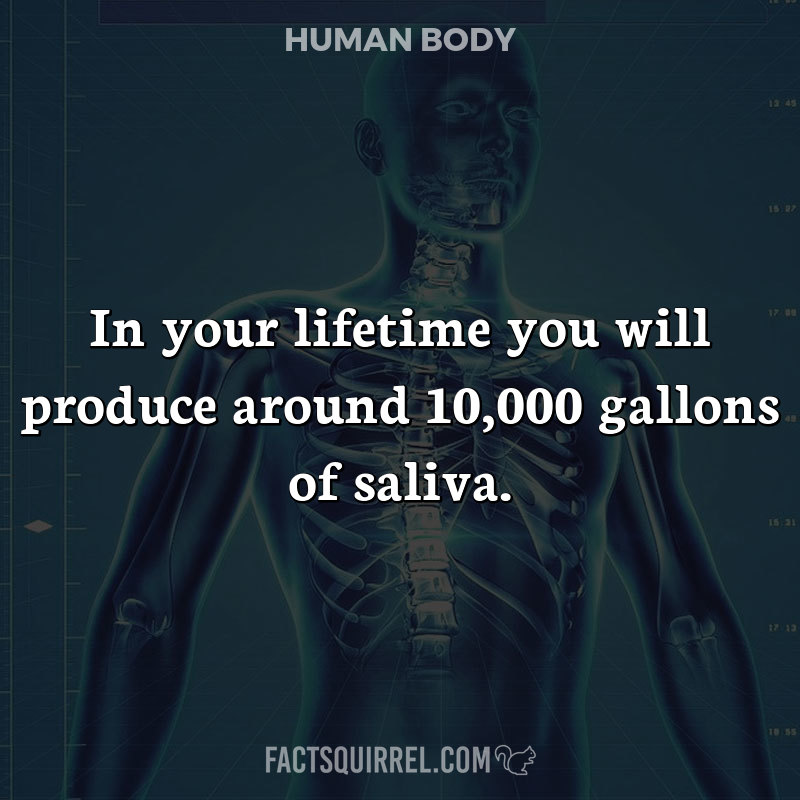 In your lifetime you will produce around 10,000 gallons of saliva