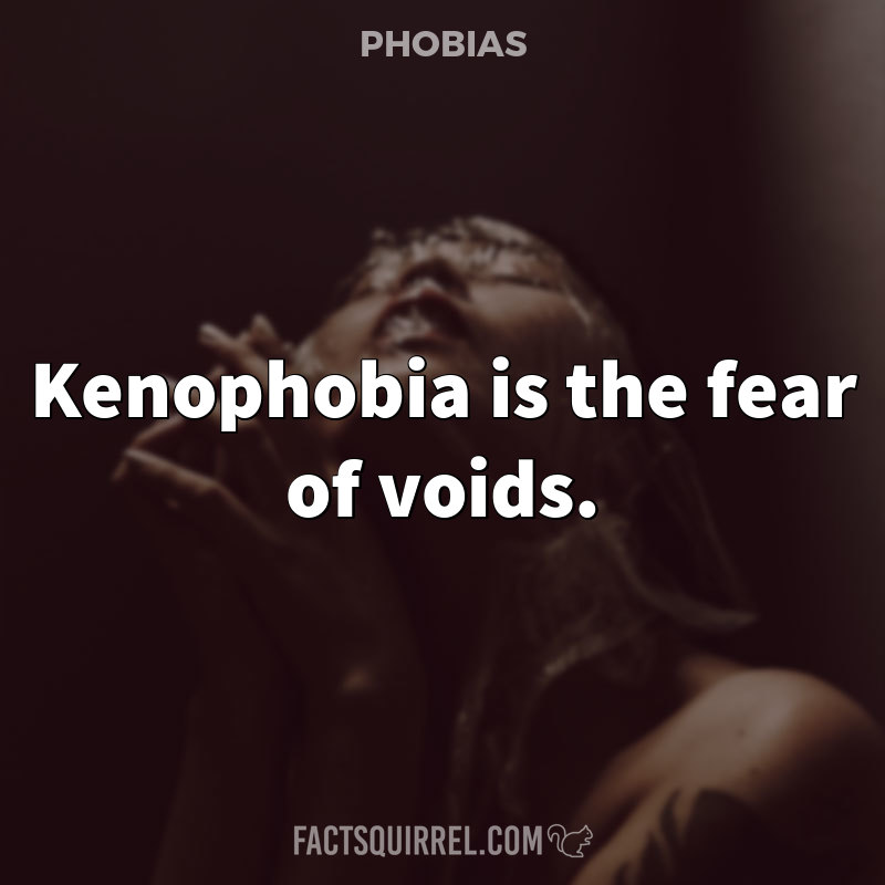 Kenophobia is the fear of voids.
