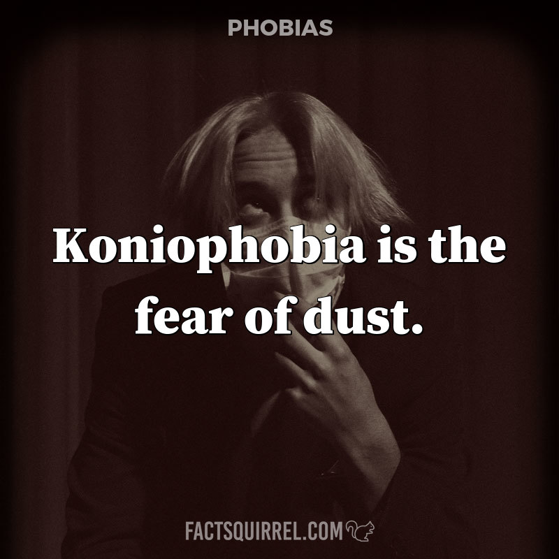 Koniophobia is the fear of dust