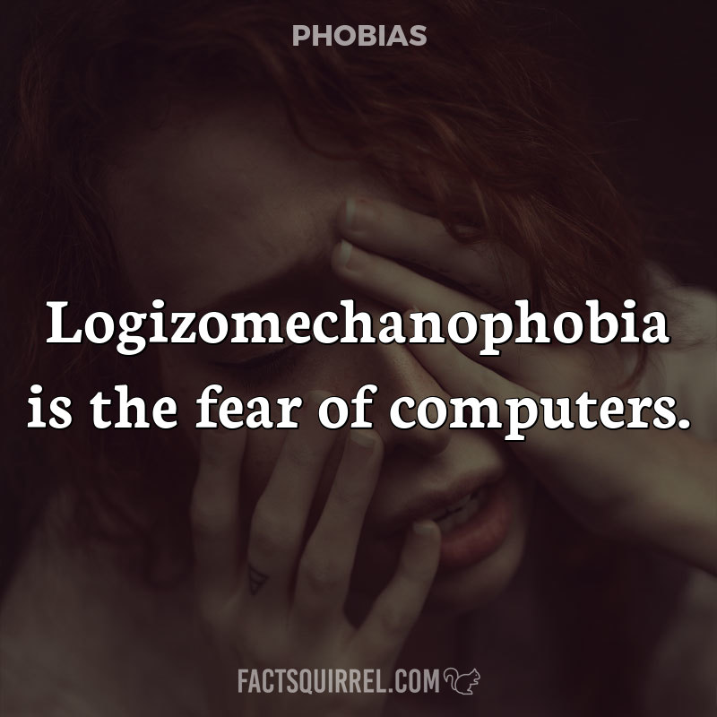 Logizomechanophobia is the fear of computers