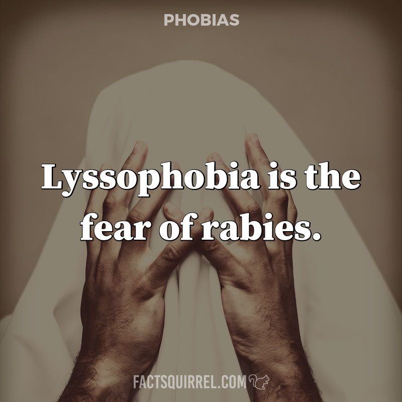 Lyssophobia is the fear of rabies