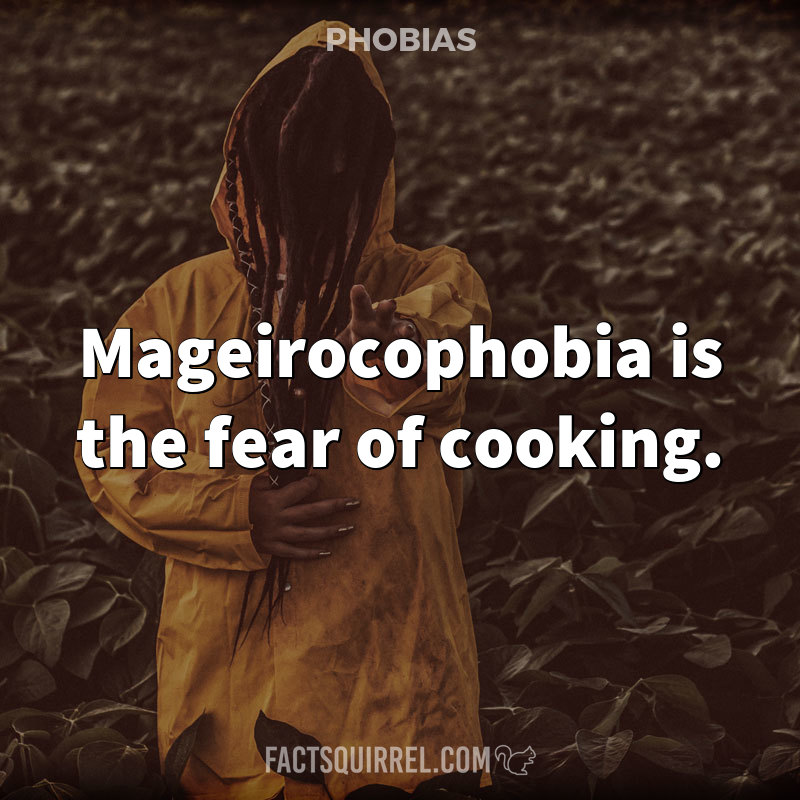 Mageirocophobia is the fear of cooking