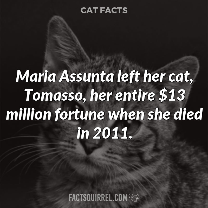 Maria Assunta left her cat, Tomasso, her entire $13 million fortune when