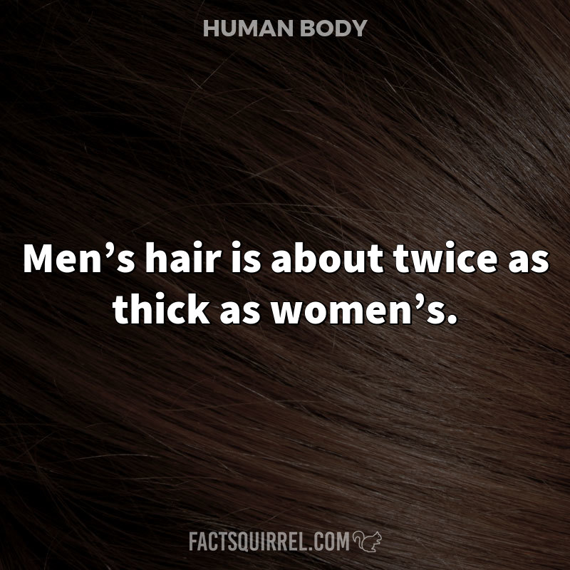 Men’s hair is about twice as thick as women’s