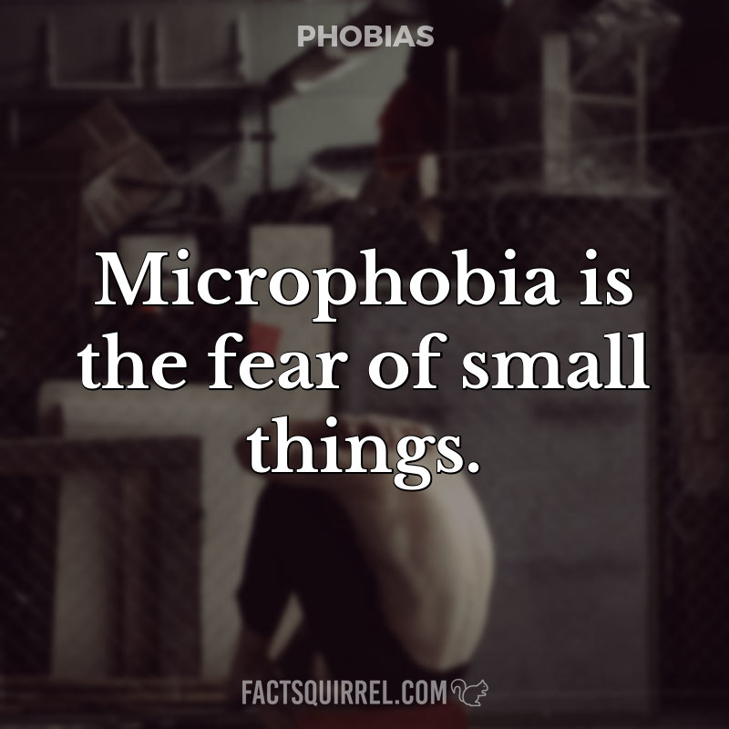 Microphobia is the fear of small things