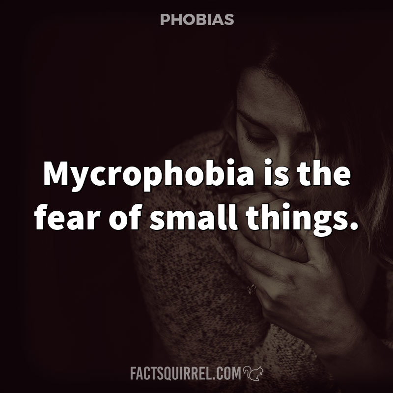 Mycrophobia is the fear of small things
