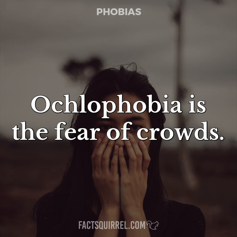 Ochlophobia is the fear of crowds