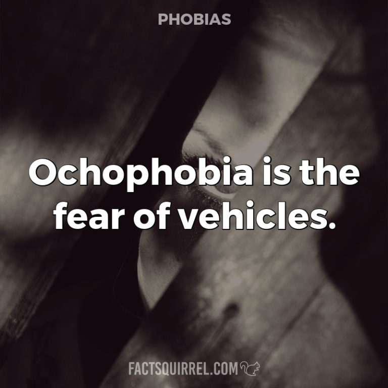The fear of crowds is known as enochlophobia FactSquirrel