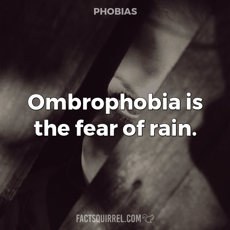 Ombrophobia is the fear of rain