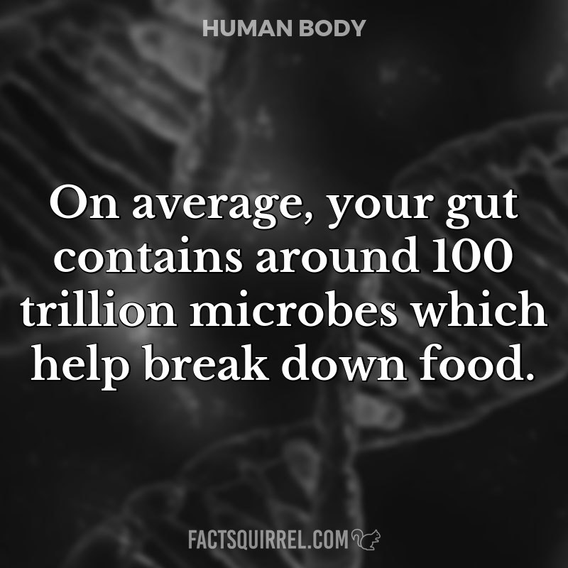 On average, your gut contains around 100 trillion microbes which help
