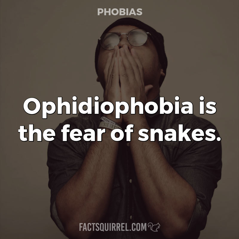 Ophidiophobia is the fear of snakes