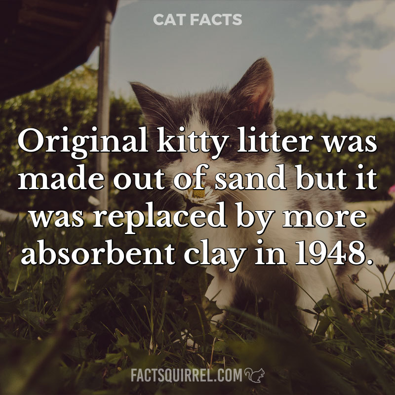 Original kitty litter was made out of sand but it was replaced by more