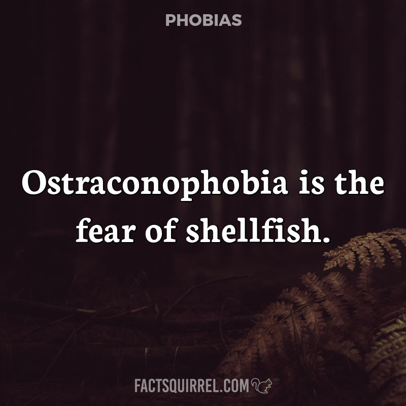 Ostraconophobia is the fear of shellfish