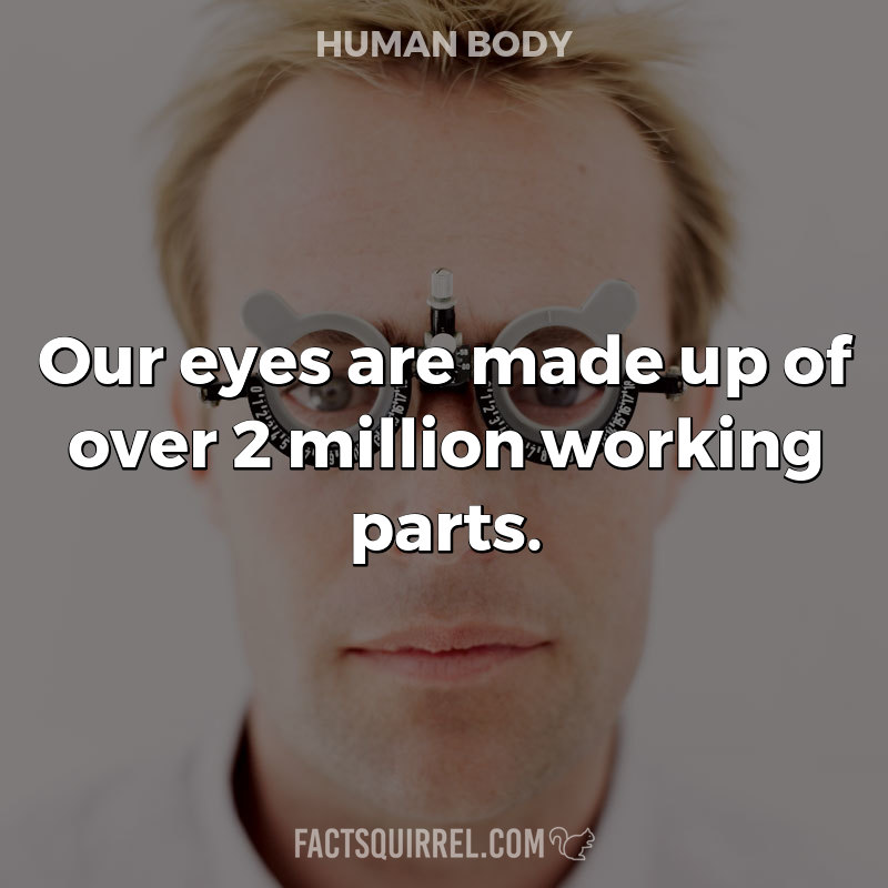 Our eyes are made up of over 2 million working parts
