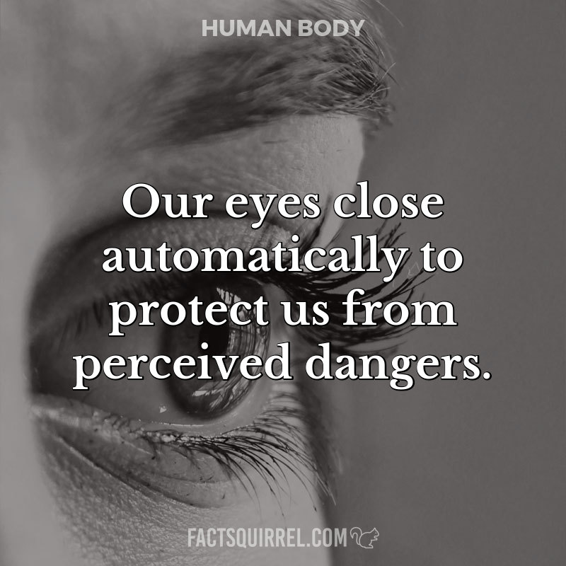 Our eyes close automatically to protect us from perceived dangers