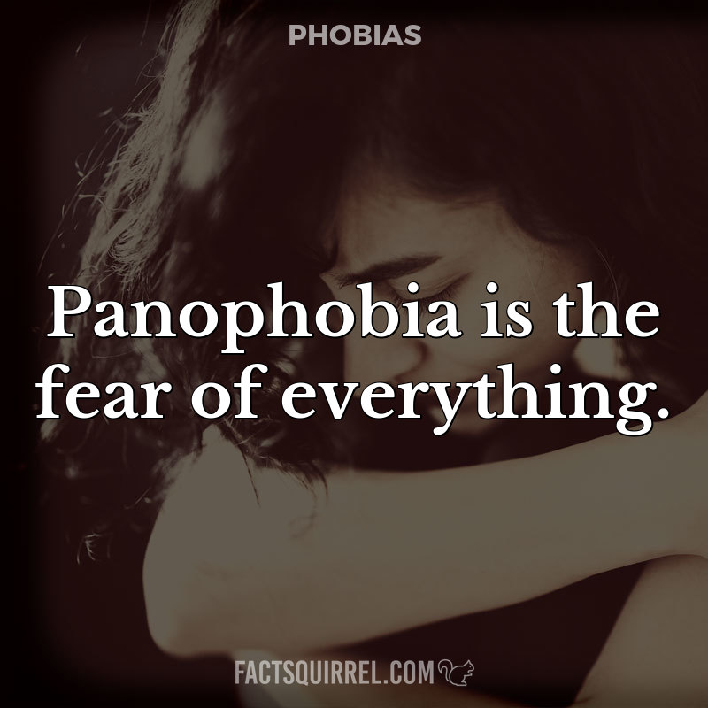 Panophobia is the fear of everything